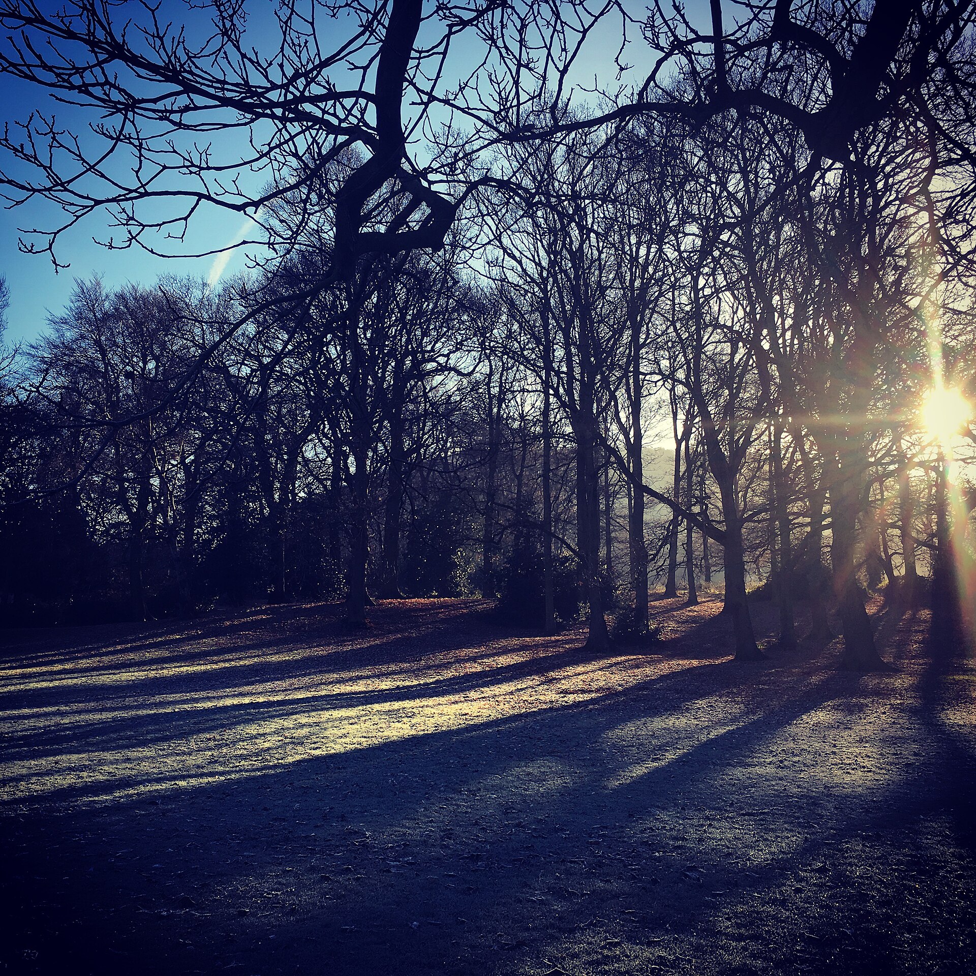 Decided to go for a walk