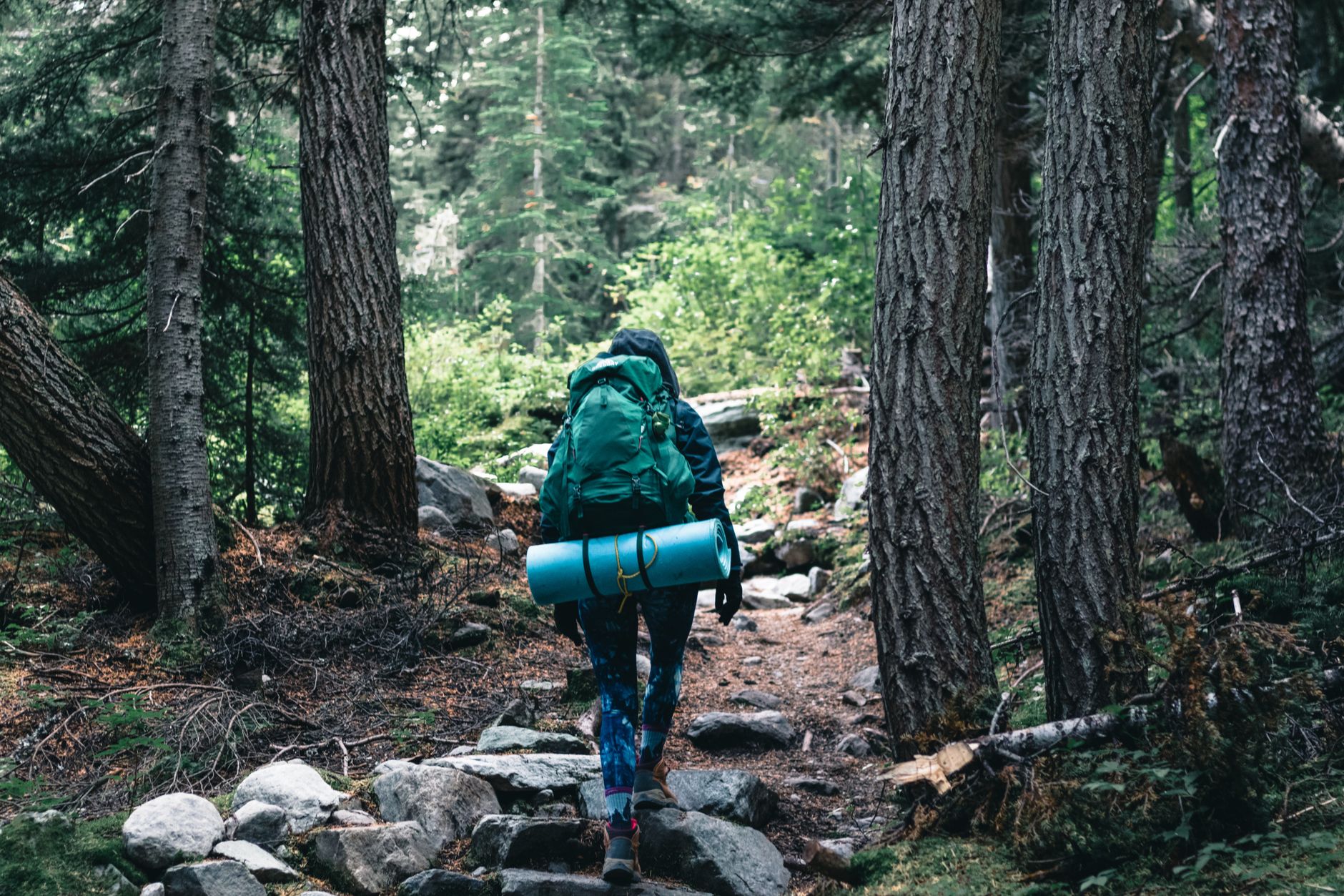 A hiker on a forest trail with a backpack and gear in British Columbia, Canada.