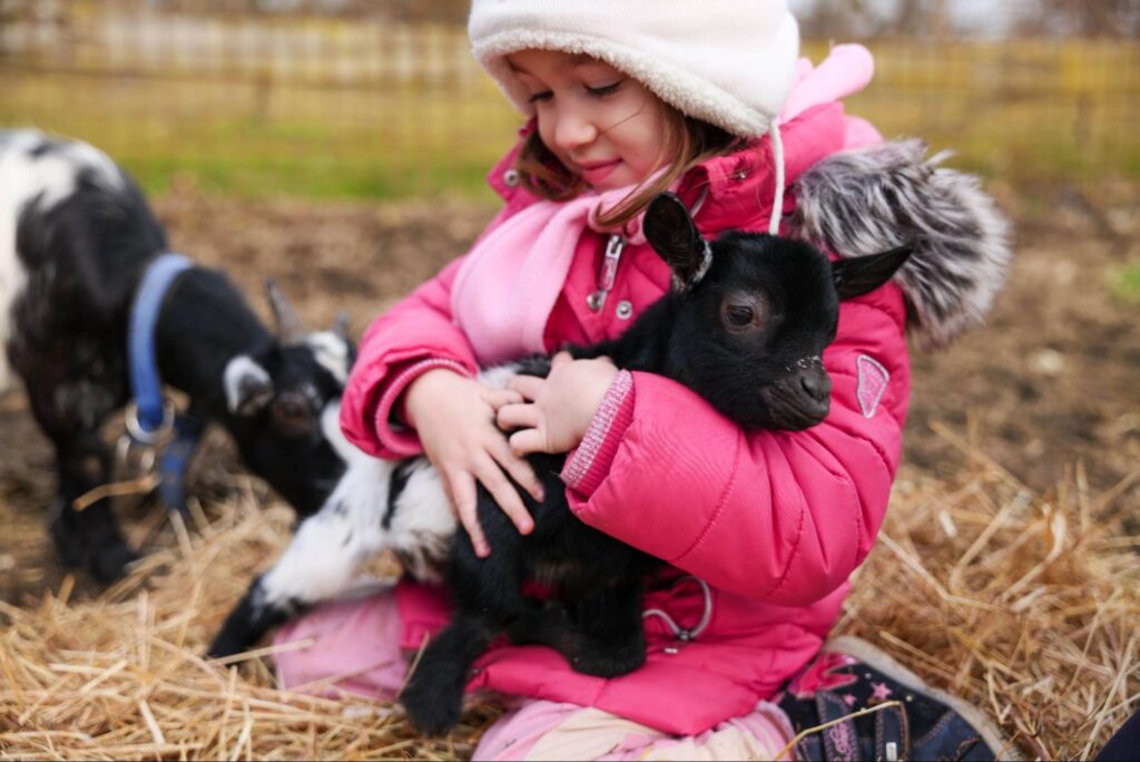 Young girl in a pink jacket gently cuddling a baby goat outdoors