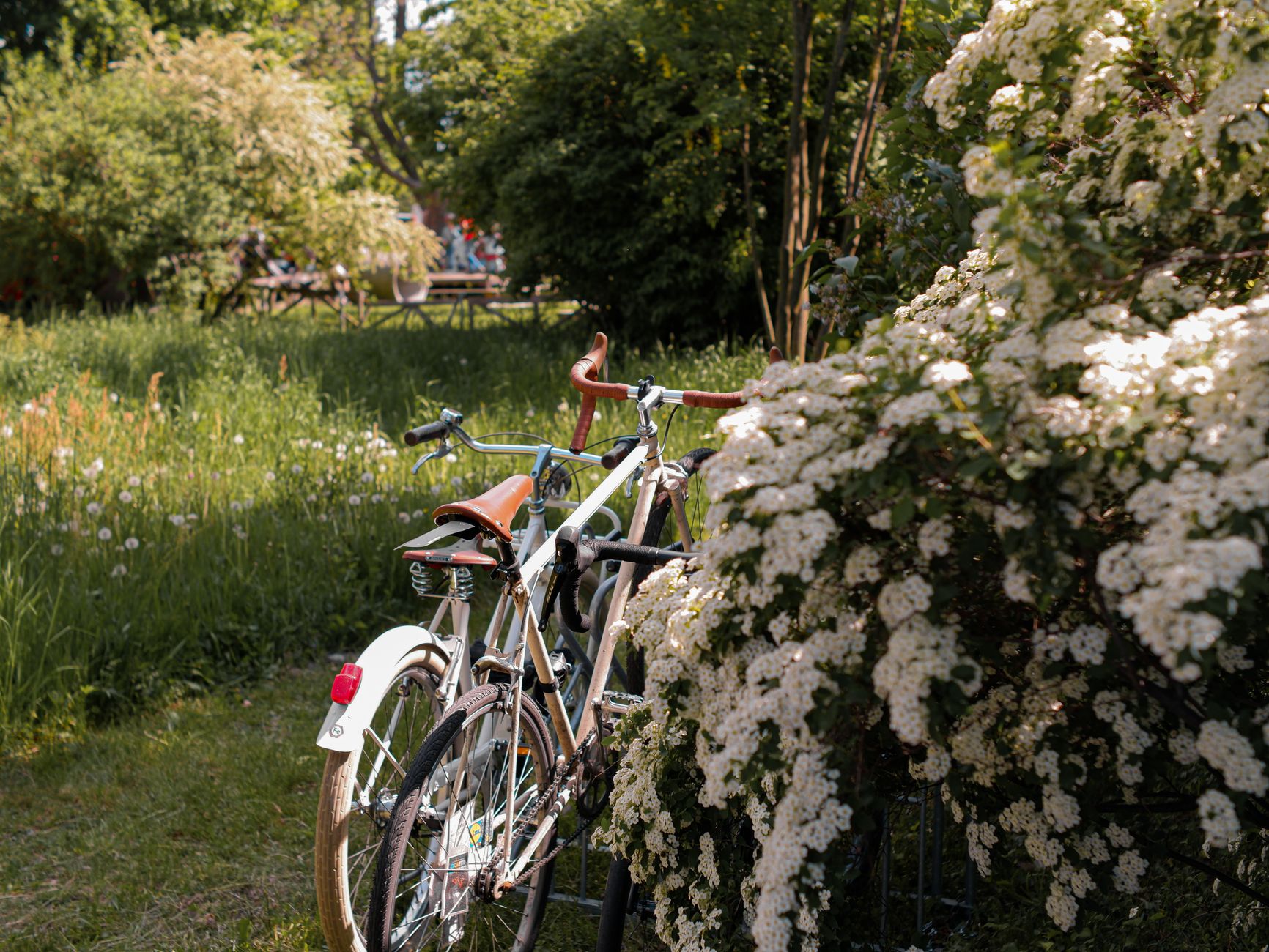 A bicycle parked on a garden path